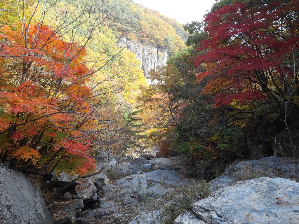 산중농원 이미지