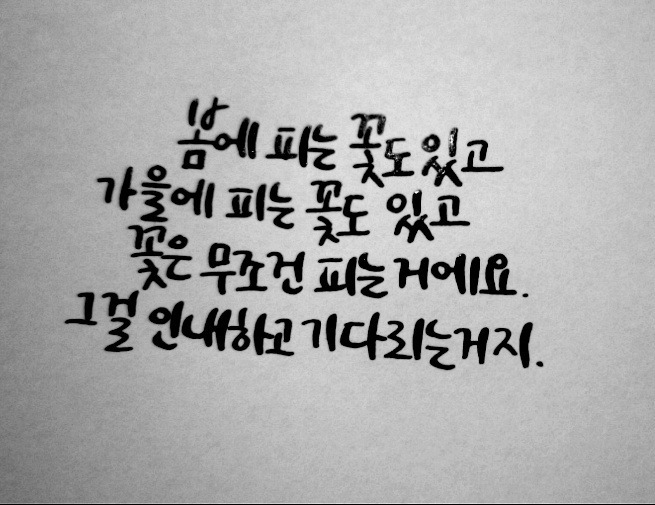 힘들 때 보면 위로가 되는(혹은 공감되는) 글귀들.jpg | 인스티즈