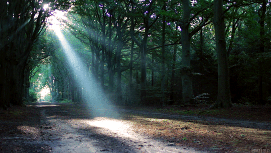 어떤 이유라도 좋으니 다시 내게로 돌아오기를 | 인스티즈