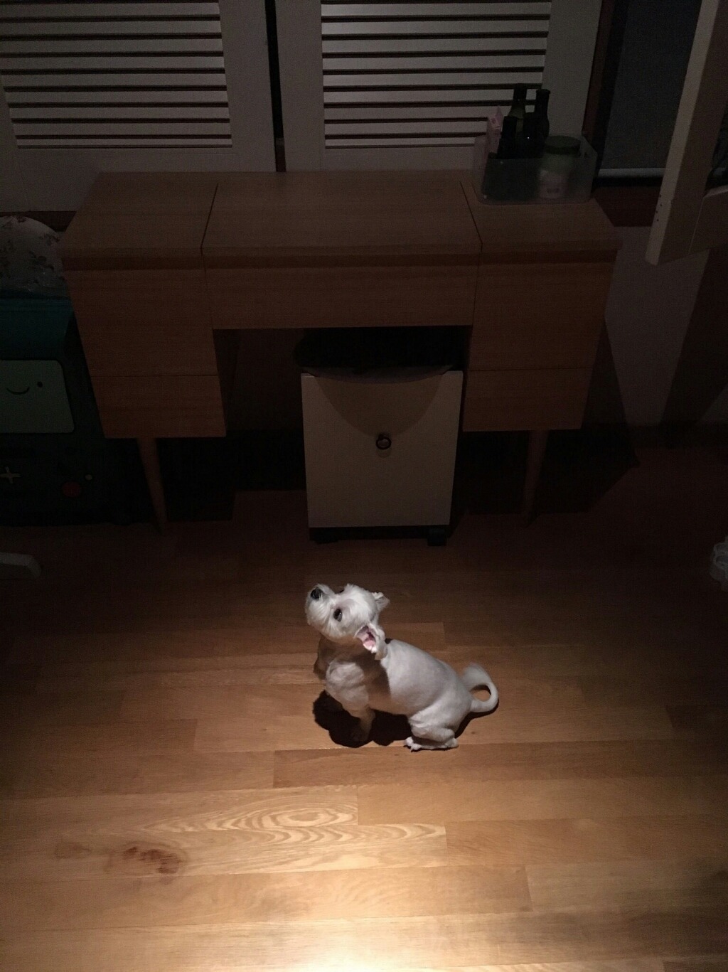 내방에 임시로 빨래를 널어놨는데 | 인스티즈