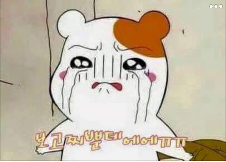 베리워즈 이미지