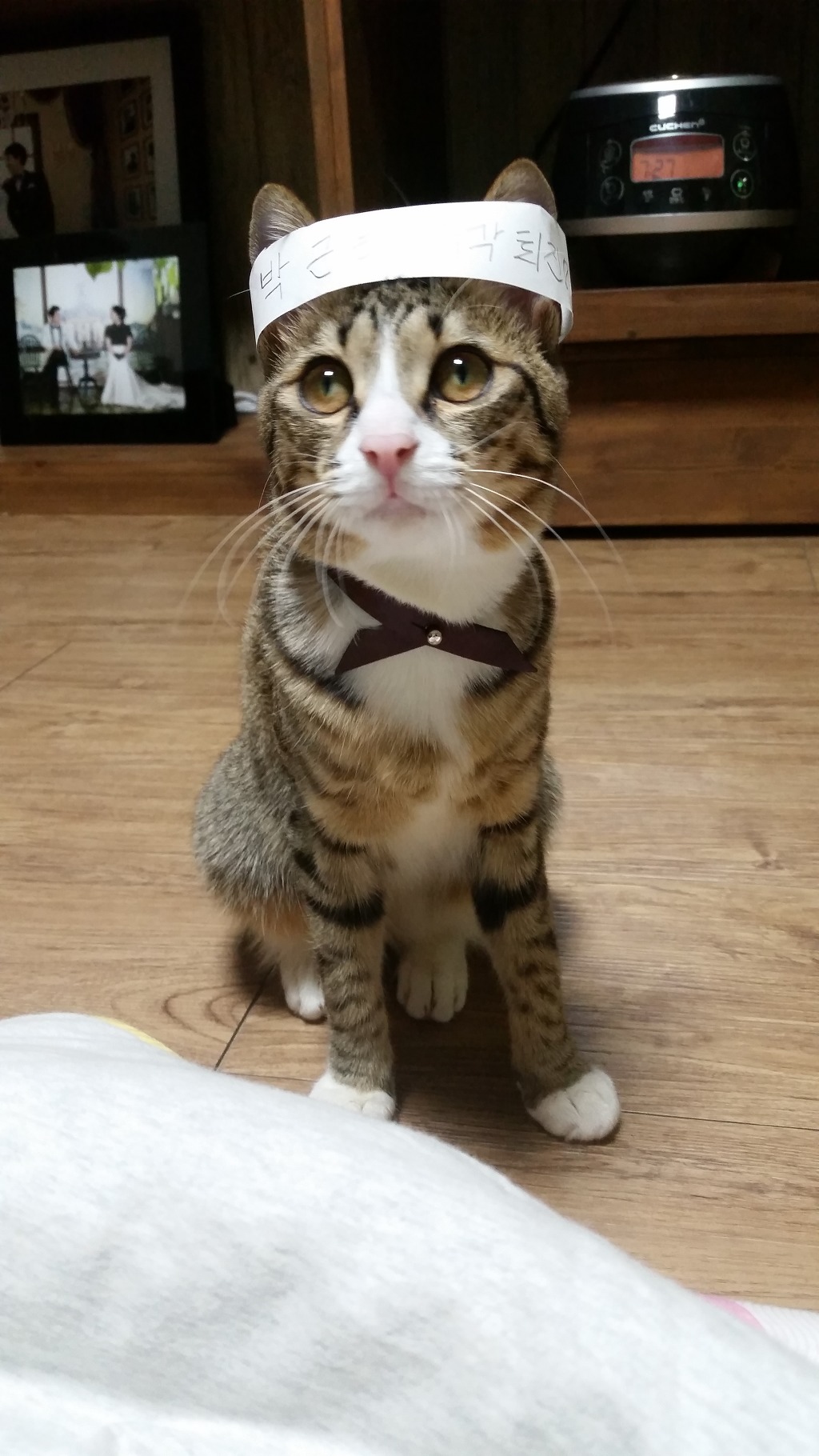 냥심(featㄹ혜) | 인스티즈