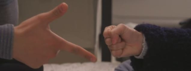 손차이 이미지