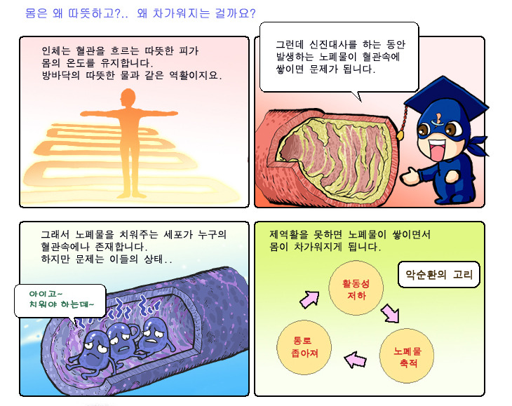 뱃살도둑 이미지
