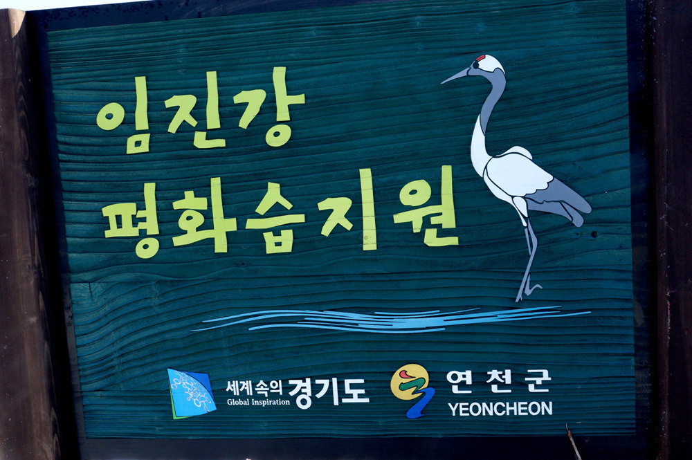 모이 이미지