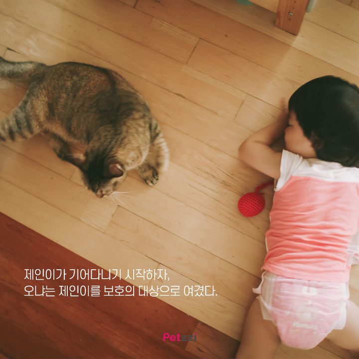 아기와 고양이의 교감 | 인스티즈