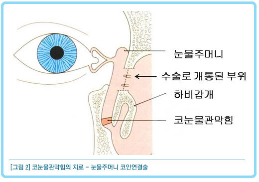 건강만세 이미지