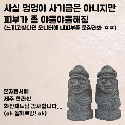 빙글의 흔한 화장품 후기.jpg | 인스티즈