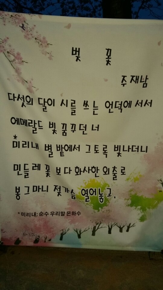 평창문화교육 이미지