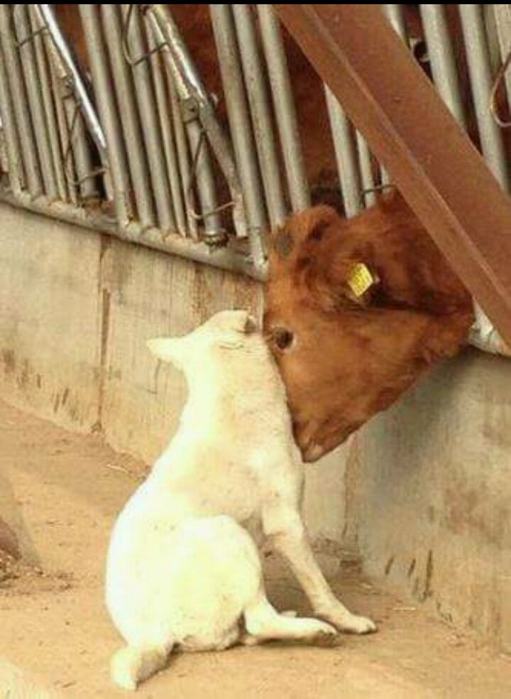 다하는 연애 | 인스티즈