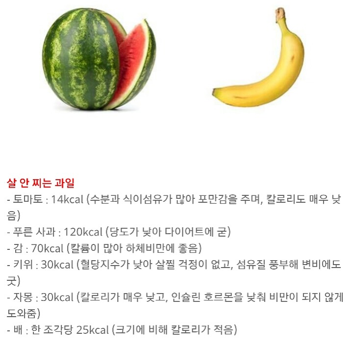[다이어트칼럼] 과일 다이어트, 이것만은 반드시 알고 하자 (살찌는 과일과 다이어트에 좋은 과일) | 인스티즈