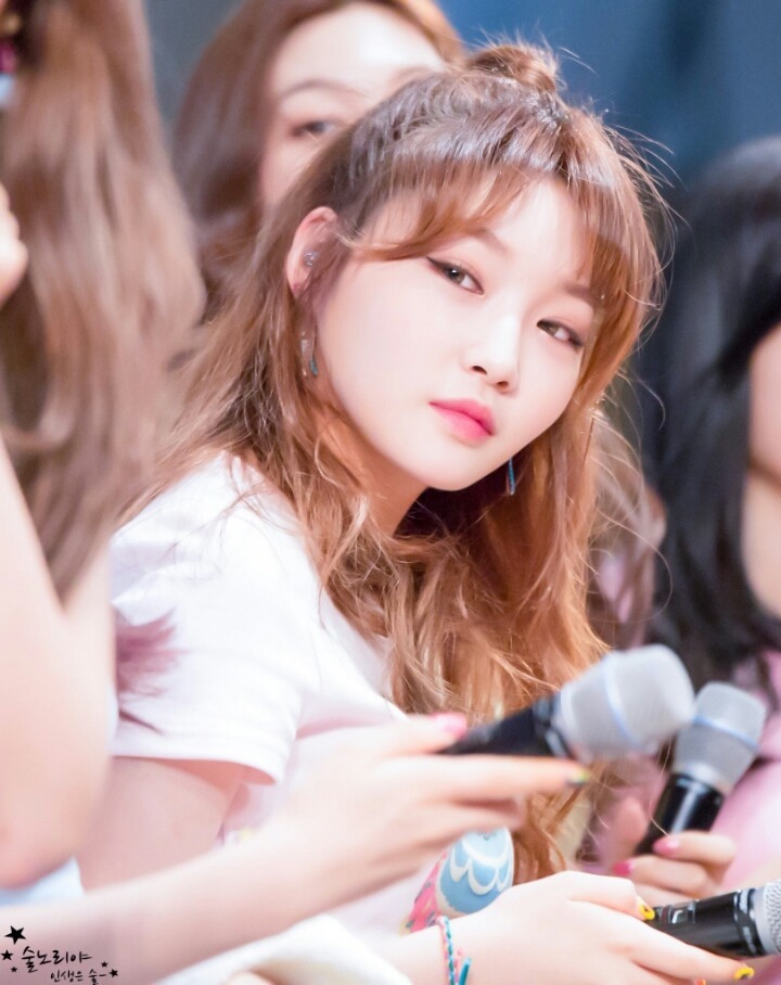 술시 이미지