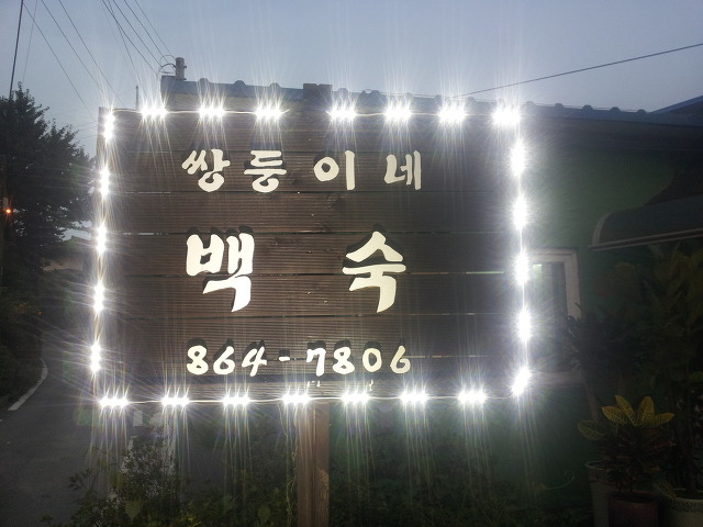 쌍둥이네 이미지