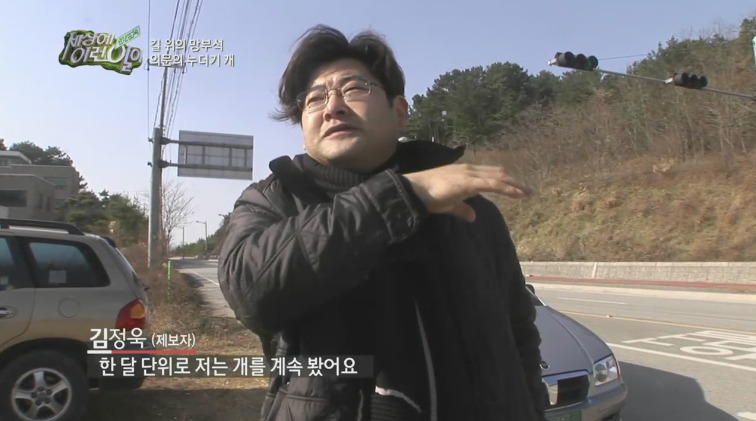 [세상에이런일이] 도로위에 망부석이 되서 주인을 기다리는 강아지.jpg | 인스티즈
