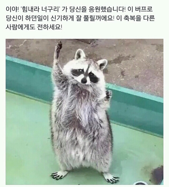 핫도그 시키신분~ | 인스티즈