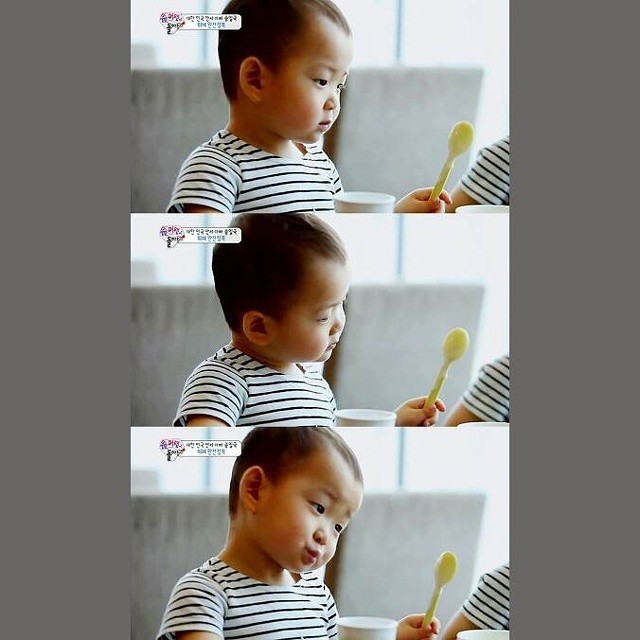 걸어다니는 애교주머니 민국이 모음 (데이터주의!) | 인스티즈