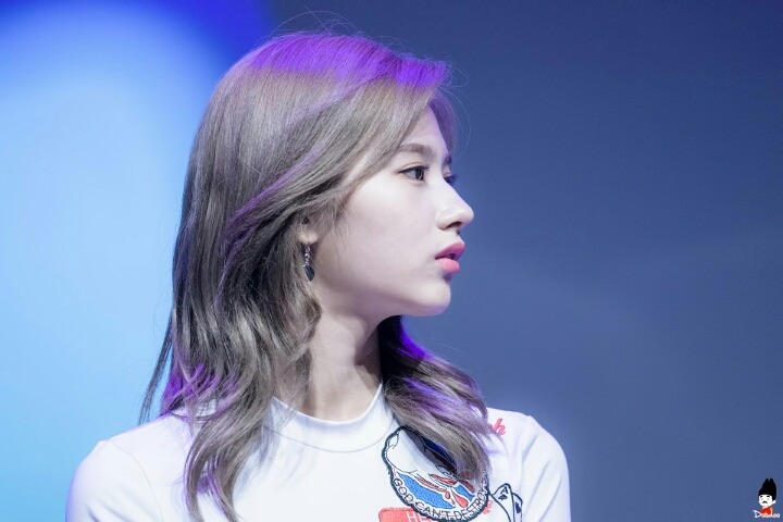 혼혈 느낌 나는 트와이스 사나의 콧대ㄷㄷ | 인스티즈