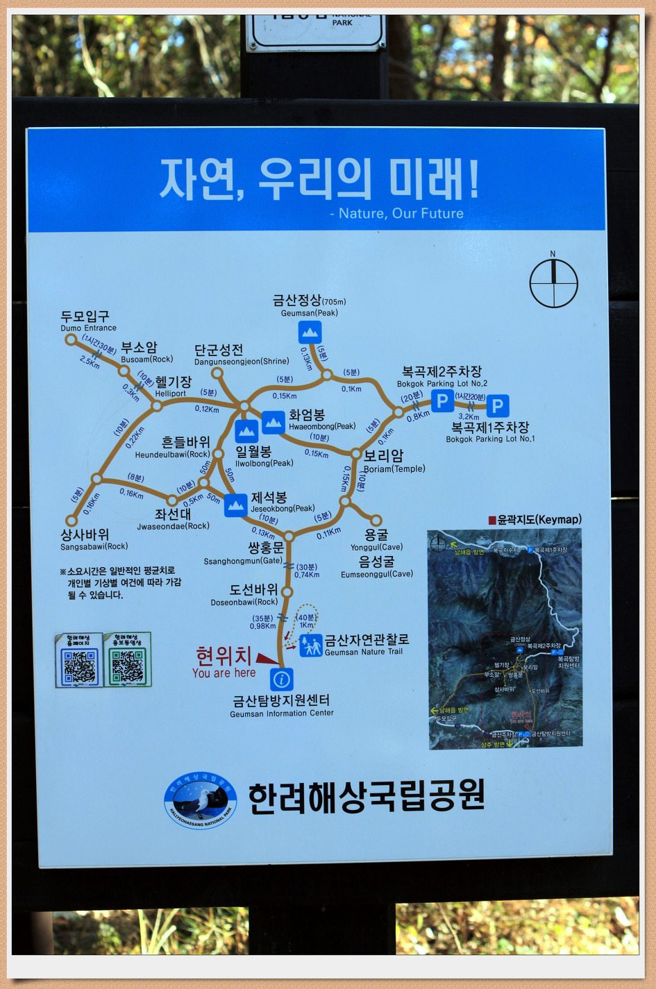 송학주유소 이미지