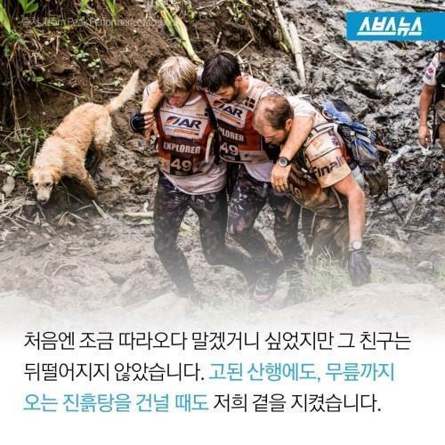 길에서 만난 친구 | 인스티즈