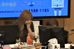 막내 예리를 키우는 레드벨벳 언니들 | 인스티즈