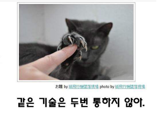 고양이 제목 학원 | 인스티즈