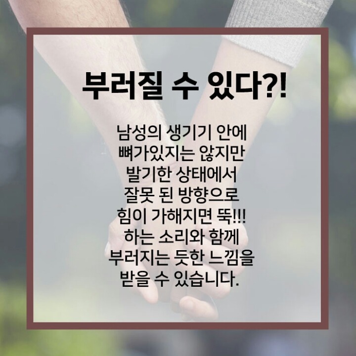 남성 성기에 대한 진실 | 인스티즈