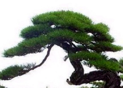 작은돌 이미지