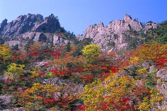 만나세 이미지