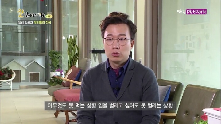 사람에 대한 트라우마가 있는 강아지 딜리 | 인스티즈
