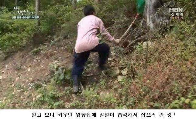 말벌잡는아저씨ㅋㅋㅋㅋㅋㅋㅋㅋ | 인스티즈