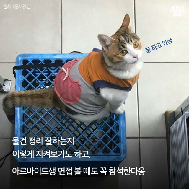 편순이 처음 보냥? | 인스티즈