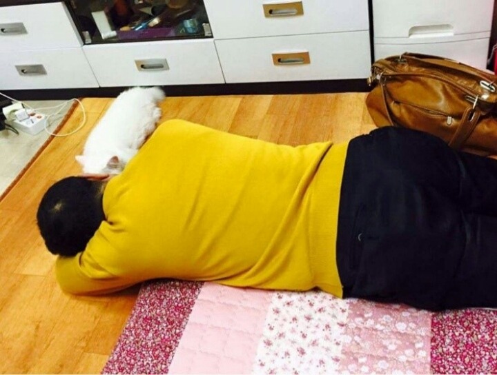 아빤 고양이 싫다.jpg | 인스티즈