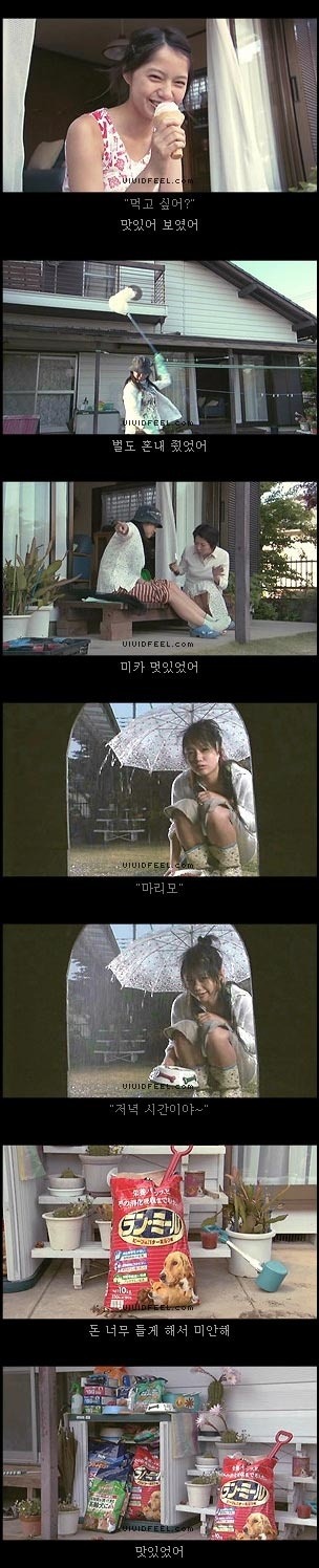 당신의 반려동물과의 이별을 생각해 본 적이 있습니까? | 인스티즈