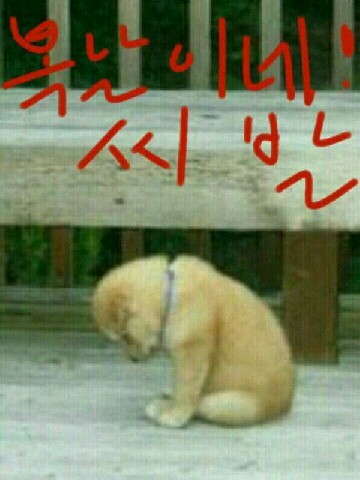 복 이미지