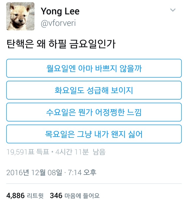  다시 돌아온 트위터 아무말대잔치55555.twt | 인스티즈