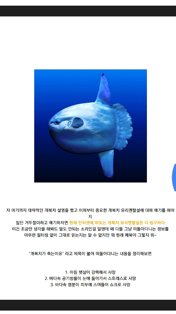 개복치가 죽는 진짜이유 | 인스티즈