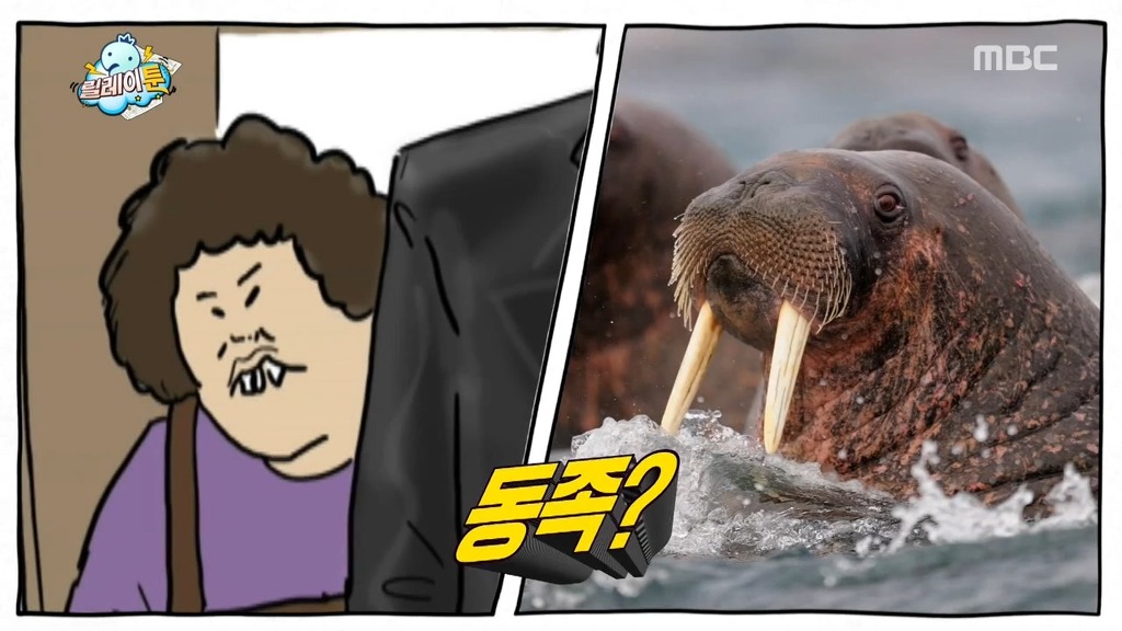 [무도] 하하&기안84의 만행 ㅋㅋㅋㅋㅋ | 인스티즈