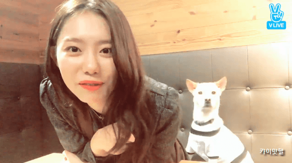 오늘자 소혜 브이앱 움짤.gif (데이터주의) | 인스티즈
