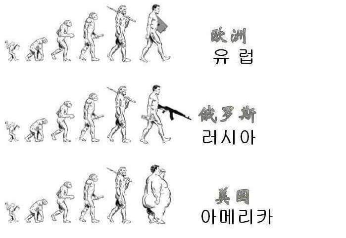 국가별 인류의 진화 | 인스티즈