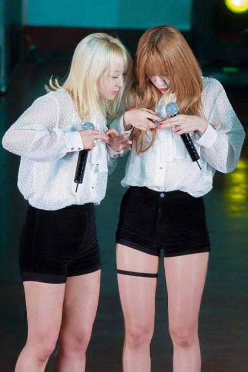원투 이미지