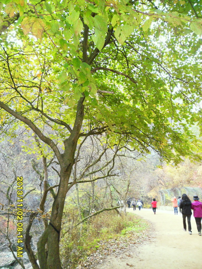송소 이미지