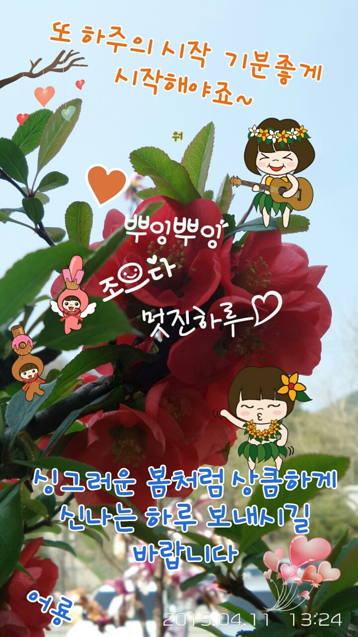 오늘하루헤어 이미지