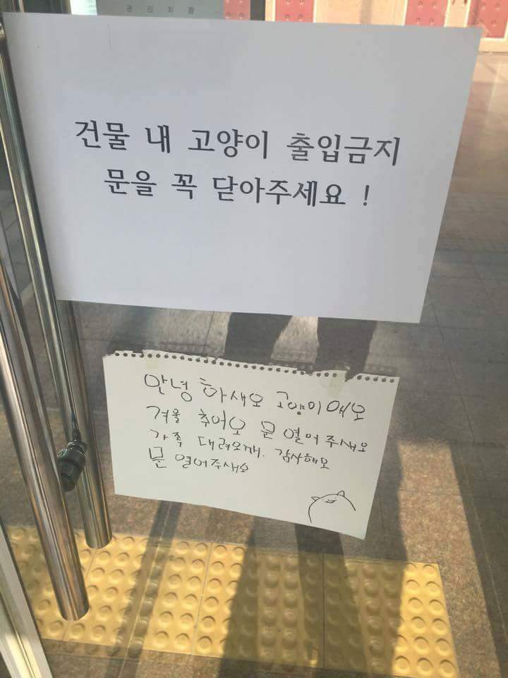안녕하새오.jpg | 인스티즈