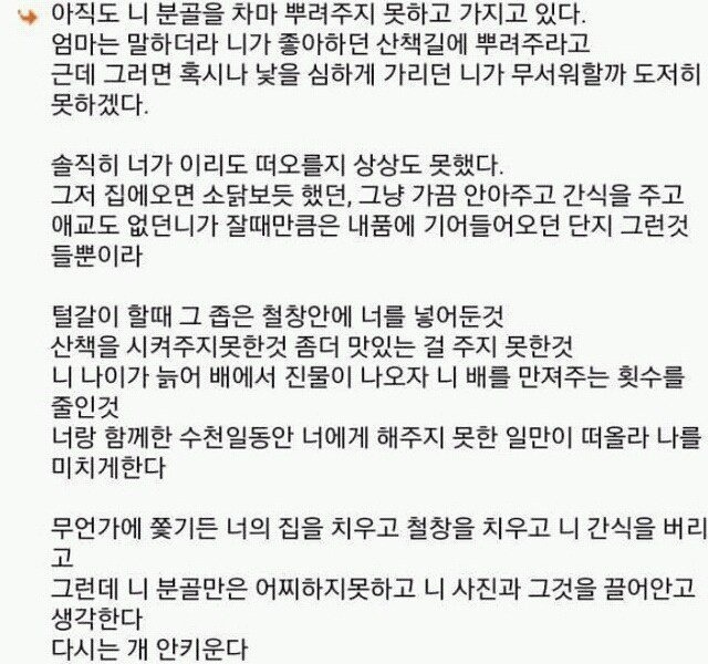 다시는 강아지 안키운다 | 인스티즈
