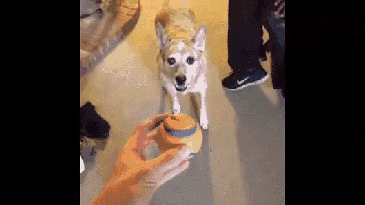 [데이터주의] 뜻밖의 시리즈 총정리 | 인스티즈