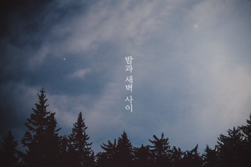 아눈 이미지