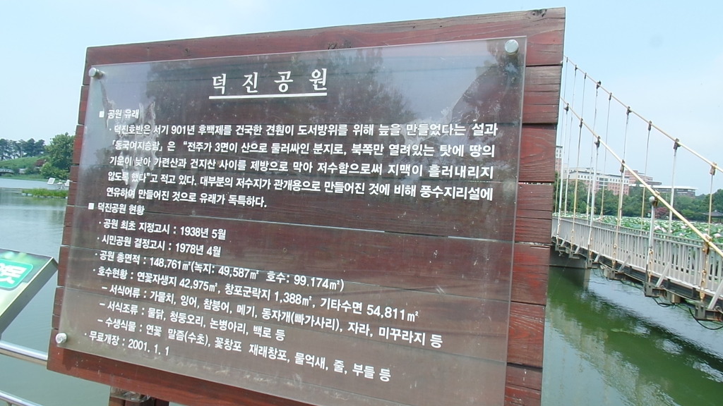 데이트 코스로 유명한 전주 덕진공원 예쁜 연꽃 풍경 | 인스티즈