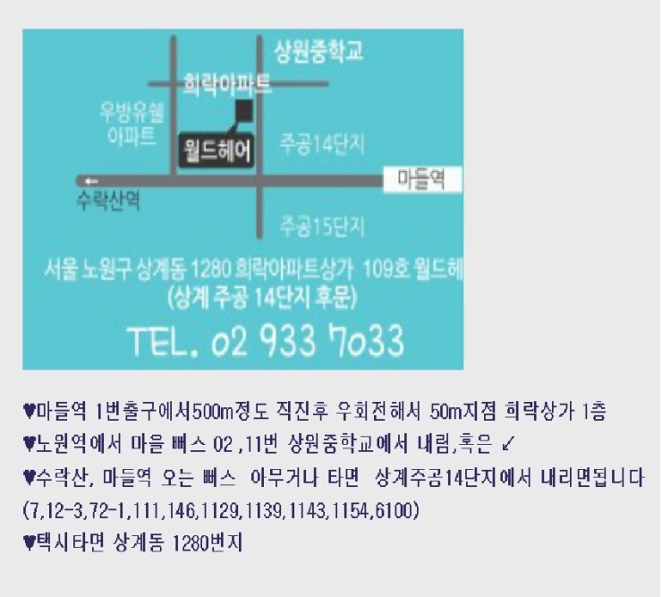 월드헤어 이미지
