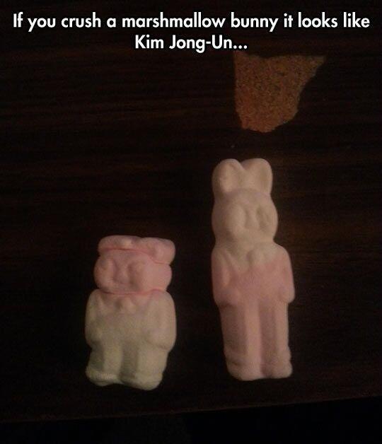 토끼모양 마시멜로우를 납작하게 누르면... | 인스티즈