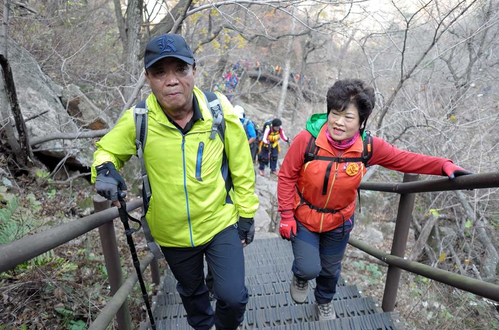돼지팻션 이미지